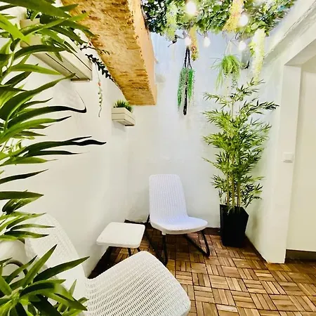 Appartement Amalia 21 - Lisboa